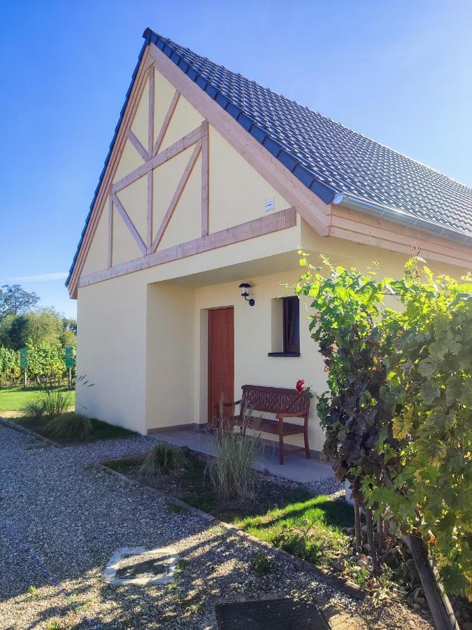 Alsace Chalet & Spa Meyer-Krumb Sigolsheim Exteriér fotografie